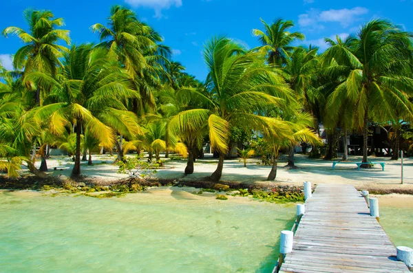 Güney Su Caye Belize - küçük Karayip Cennet Adası tropik beach tatil ve dinlenme için ile