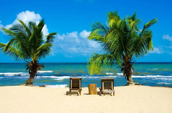 Paradise beach adlı Hopkins - Belize tropik Karayipler sahil - Orta Amerika