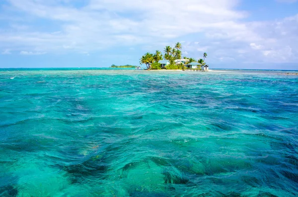 Piccola Isola Tropicale Paradisiaca Nel Mare Caraibico Del Belize America — Foto Stock