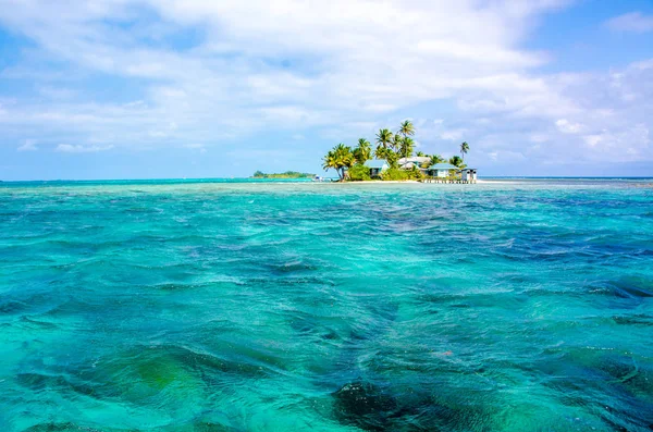 Piccola Isola Tropicale Paradisiaca Nel Mare Caraibico Del Belize America — Foto Stock