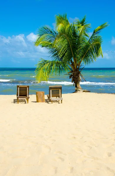 ホプキンス 熱帯カリブ海沿岸のベリーズ 中米の楽園ビーチ — ストック写真