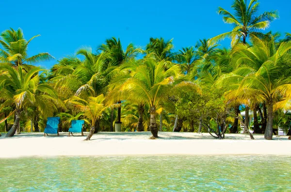 Güney Su Caye Belize - küçük Karayip Cennet Adası tropik beach tatil ve dinlenme için ile