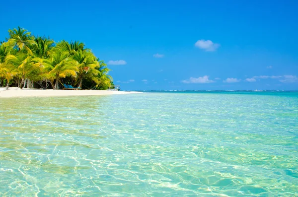 South Water Caye Belize Pequena Ilha Paradisíaca Caribe Com Praia — Fotografia de Stock