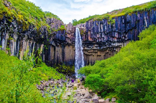 İzlanda'daki Svartifoss güzel şelale