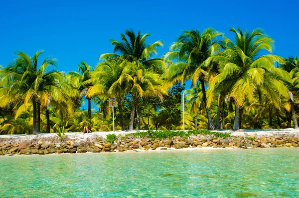 Güney Su Caye Belize - küçük Karayip Cennet Adası tropik beach tatil ve dinlenme için ile