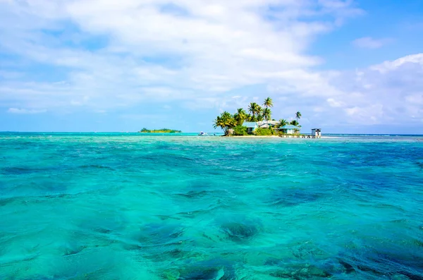 Piccola Isola Tropicale Paradisiaca Nel Mare Caraibico Del Belize America — Foto Stock