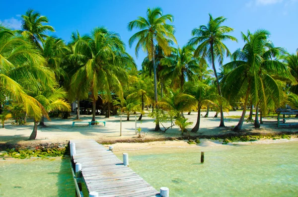 South Water Caye Belize Kleine Caribische Paradijseiland Met Tropisch Strand — Stockfoto