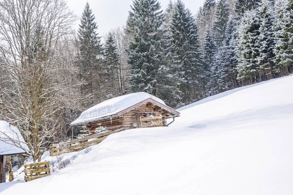 Oberstdorf, Allgaeu, Bavyera, Almanya, Almanya Alpleri'nde güzel kış manzarası