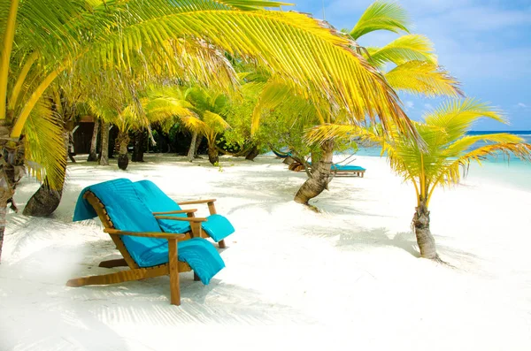 South Water Caye Belize Small Caribbean Paradise Island Tropical Beach — Stock Photo, Image