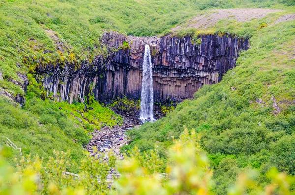 İzlanda'daki Svartifoss güzel şelale
