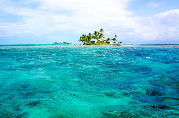 Piccola Isola Tropicale Paradisiaca Nel Mare Caraibico Del Belize America — Foto Stock