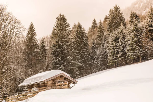 オーベルストドルフに位置 ババリア ドイツでドイツのアルプスの美しい冬景色 — ストック写真