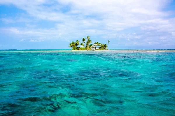 Tropikal ve cennet küçük ada, Karayip Denizi, Belize - Orta Amerika