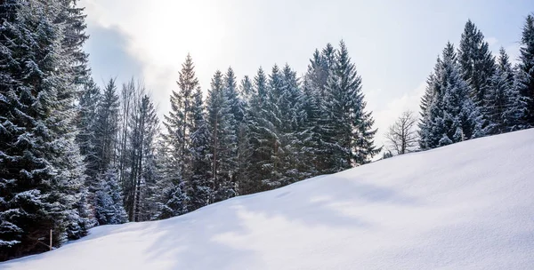 Oberstdorf, Allgaeu, Bavyera, Almanya, Almanya Alpleri'nde güzel kış manzarası