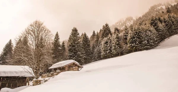 Bela Paisagem Inverno Nos Alpes Alemães Oberstdorf Allgaeu Baviera Alemanha — Fotografia de Stock