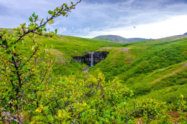 İzlanda'daki Svartifoss güzel şelale