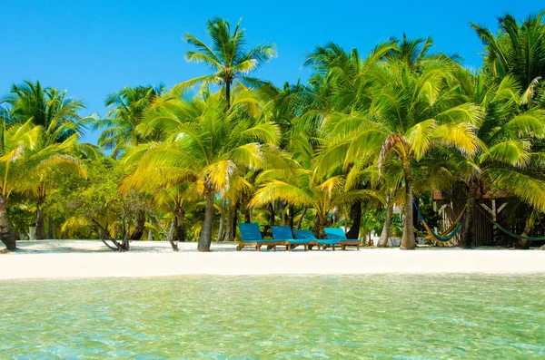 Güney Su Caye Belize - küçük Karayip Cennet Adası tropik beach tatil ve dinlenme için ile