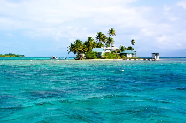 Tropical Paradise Small Island Caribbean Sea Belize Central America — Stock Photo, Image