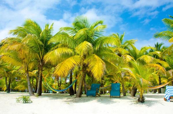 ベリーズ 休暇やリラックスのための熱帯のビーチを持つ小さなカリブ海の楽園島の南水 Caye — ストック写真