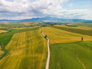 Gladyatör yol selvi ile Terrapille - Toskana, İtalya - selvi ağaçları boyunca ünlü beyaz yolu veya strada Pienza yakınındaki doğru Val d orcia (Orcia Valley) ağaçları bianca - havadan görünümü