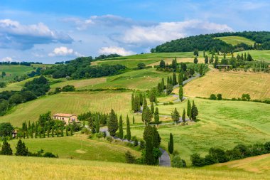 Selvi ağaçları Monticchiello - Valdorcia - Siena, Toskana, İtalya, Europe yakınındaki doğal dolambaçlı yol.