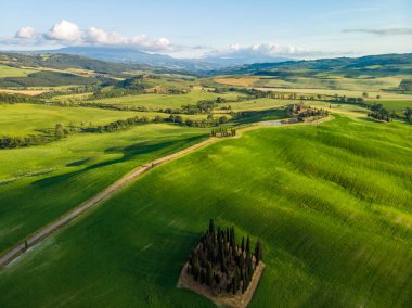 Grup İtalyan selvi yakınındaki San Quirico dorcia - denilen Cipressi di San Quirico dorcia - havadan görünümü - Val dorcia, Toskana, İtalya