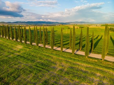 Güzel manzara sahne Toskana İtalya - selvi ağaçları beyaz yol boyunca - havadan görünümü - yakın Pienza, Toskana, İtalya