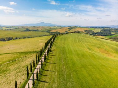Güzel manzara sahne Toskana İtalya - selvi ağaçları beyaz yol boyunca - havadan görünümü - yakın Asciano, Toskana, İtalya