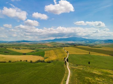 Gladyatör yol selvi ile Terrapille - Toskana, İtalya - selvi ağaçları boyunca ünlü beyaz yolu veya strada Pienza yakınındaki doğru Val d orcia (Orcia Valley) ağaçları bianca - havadan görünümü