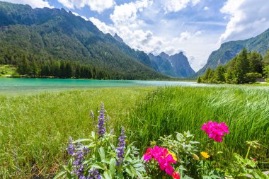 Göl Dobbiaco (Toblacher görmek, Lago di Dobbiaco) Dolomit Alpleri'nde, Güney Tirol, İtalya - seyahat hedef Avrupa'da