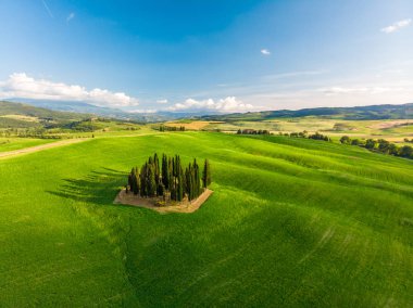Grup İtalyan selvi yakınındaki San Quirico dorcia - denilen Cipressi di San Quirico dorcia - havadan görünümü - Val dorcia, Toskana, İtalya