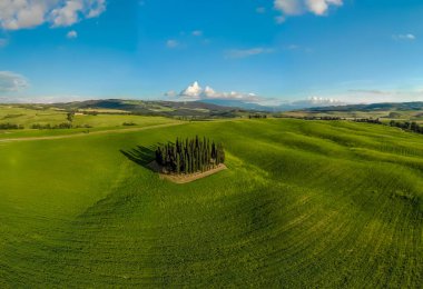 Grup İtalyan selvi yakınındaki San Quirico dorcia - denilen Cipressi di San Quirico dorcia - havadan görünümü - Val dorcia, Toskana, İtalya