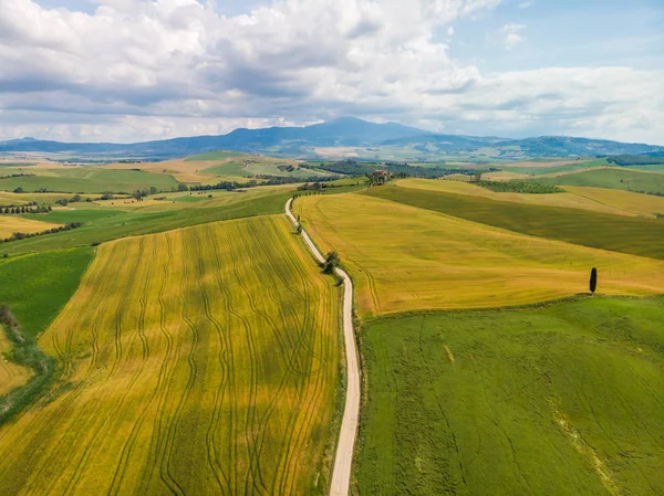 Gladyatör yol selvi ile Terrapille - Toskana, İtalya - selvi ağaçları boyunca ünlü beyaz yolu veya strada Pienza yakınındaki doğru Val d orcia (Orcia Valley) ağaçları bianca - havadan görünümü