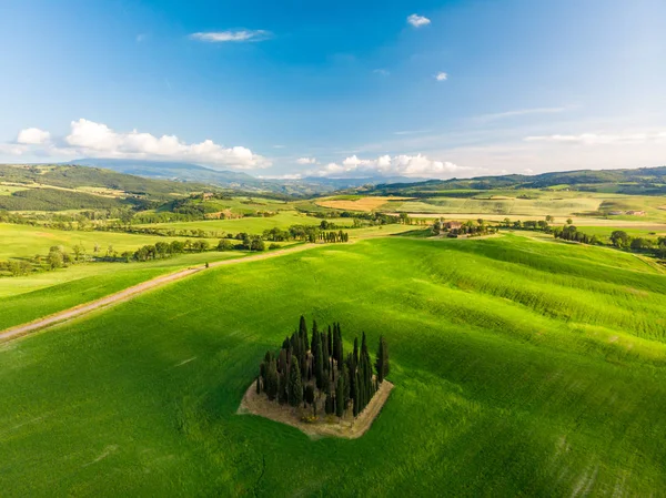 Grup İtalyan selvi yakınındaki San Quirico dorcia - denilen Cipressi di San Quirico dorcia - havadan görünümü - Val dorcia, Toskana, İtalya