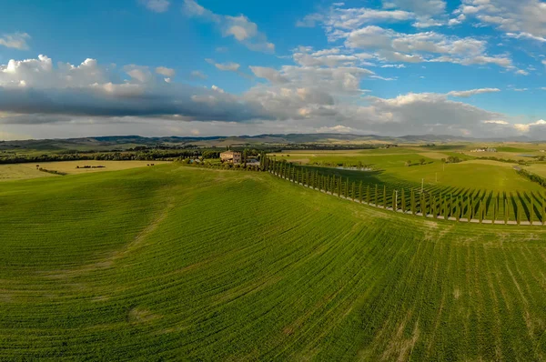 Güzel manzara sahne Toskana İtalya - selvi ağaçları beyaz yol boyunca - havadan görünümü - yakın Pienza, Toskana, İtalya