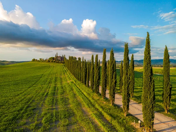 Wunderschöne Landschaft Der Toskana Italien Zypressen Entlang Der Weißen Straße — Stockfoto
