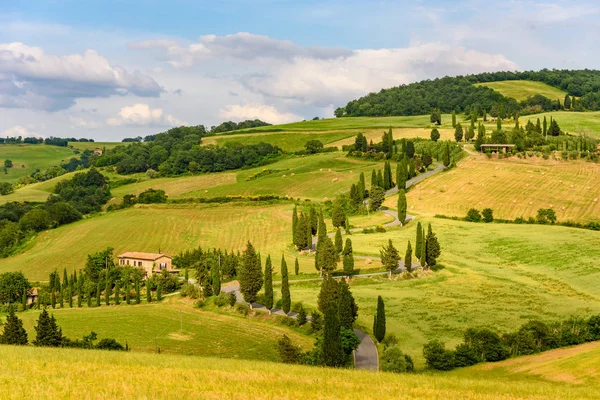 Selvi ağaçları Monticchiello - Valdorcia - Siena, Toskana, İtalya, Europe yakınındaki doğal dolambaçlı yol.