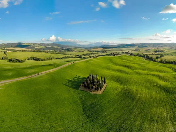 Grup İtalyan selvi yakınındaki San Quirico dorcia - denilen Cipressi di San Quirico dorcia - havadan görünümü - Val dorcia, Toskana, İtalya