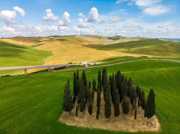 Grup İtalyan selvi yakınındaki San Quirico dorcia - denilen Cipressi di San Quirico dorcia - havadan görünümü - Val dorcia, Toskana, İtalya