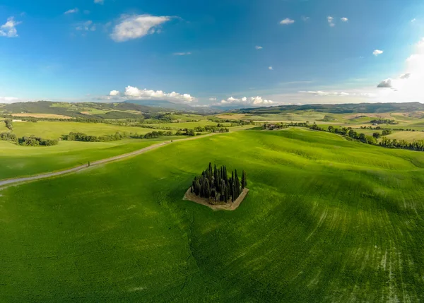Grup İtalyan selvi yakınındaki San Quirico dorcia - denilen Cipressi di San Quirico dorcia - havadan görünümü - Val dorcia, Toskana, İtalya