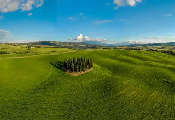 Grup İtalyan selvi yakınındaki San Quirico dorcia - denilen Cipressi di San Quirico dorcia - havadan görünümü - Val dorcia, Toskana, İtalya