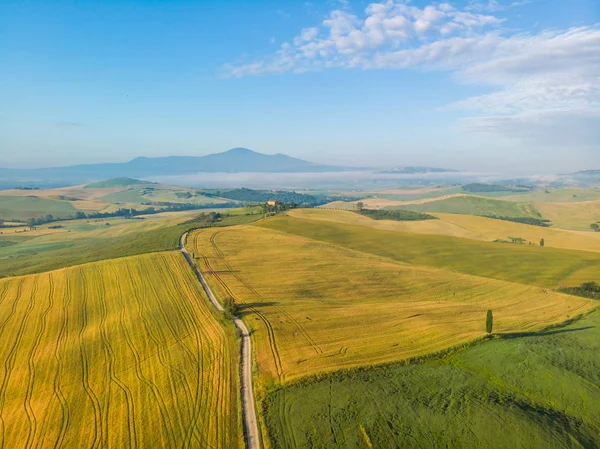 Gladyatör yol selvi ile Terrapille - Toskana, İtalya - selvi ağaçları boyunca ünlü beyaz yolu veya strada Pienza yakınındaki doğru Val d orcia (Orcia Valley) ağaçları bianca - havadan görünümü