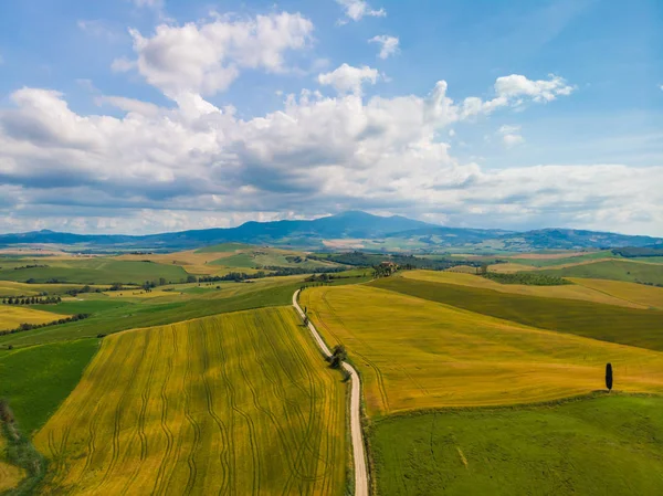 Gladyatör yol selvi ile Terrapille - Toskana, İtalya - selvi ağaçları boyunca ünlü beyaz yolu veya strada Pienza yakınındaki doğru Val d orcia (Orcia Valley) ağaçları bianca - havadan görünümü