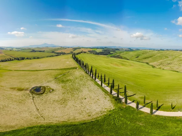 Güzel manzara sahne Toskana İtalya - selvi ağaçları beyaz yol boyunca - havadan görünümü - yakın Asciano, Toskana, İtalya