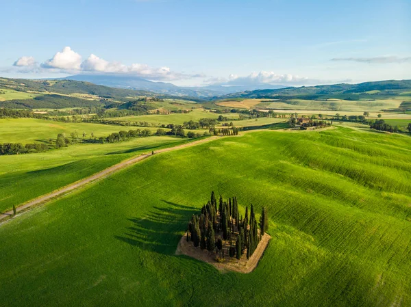 Grup İtalyan selvi yakınındaki San Quirico dorcia - denilen Cipressi di San Quirico dorcia - havadan görünümü - Val dorcia, Toskana, İtalya