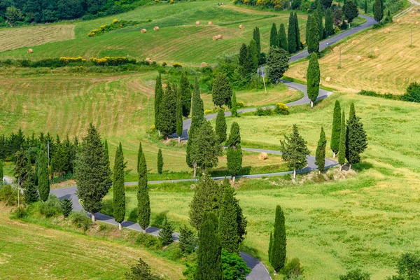 Cipreses Carretera Sinuosa Escénica Monticchiello Valdorcia Cerca Siena Toscana Italia — Foto de Stock