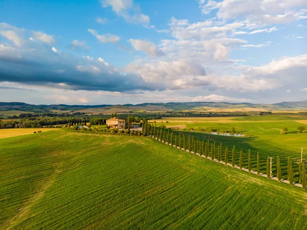 Güzel manzara sahne Toskana İtalya - selvi ağaçları beyaz yol boyunca - havadan görünümü - yakın Pienza, Toskana, İtalya