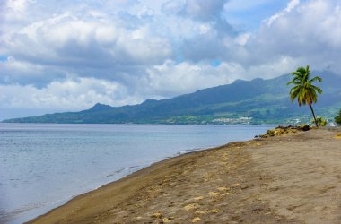 Cennet plaj Le Carbet, tropikal ada Martinique, Karayip Denizi