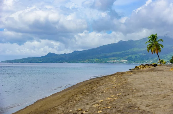 Paradise Beach Carbet Tropikalne Wyspy Martynika Morze Karaibskie — Zdjęcie stockowe