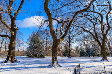Kış manzarası içinde Central Park, New York City buz ve kar, ABD ile